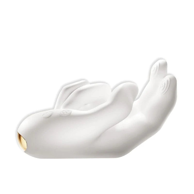 10-Mode Manual-Touch-Feel Heating Dual Massager — Multi-Functional Intimate Massager (USB Charging / Waterproof / Silent)